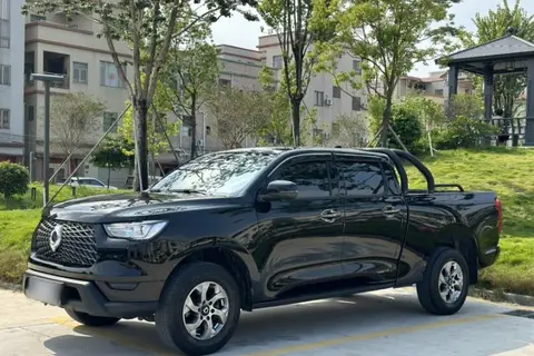 Great Wall Poer 2021