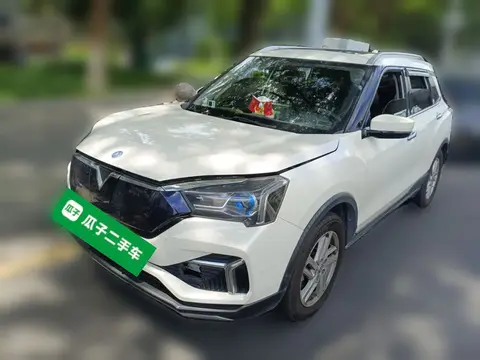 Venucia T60EV 2019