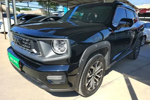 Haval H Dog 2024