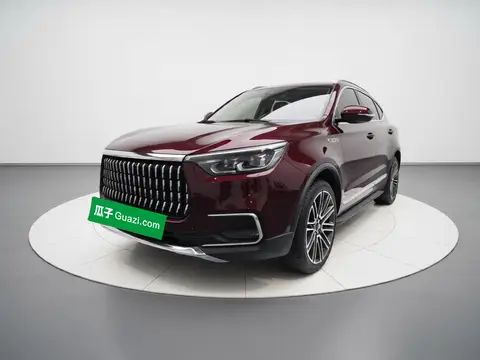 Leopaard Mattu 2018