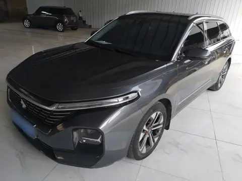 Baojun Valli 2021