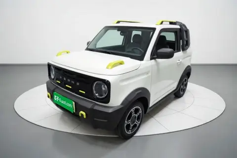Geely Panda 2024