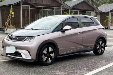 BYD Dolphin 2022