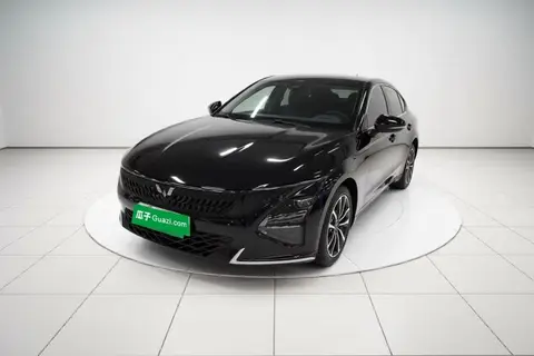 Wuling Xingguang 2024