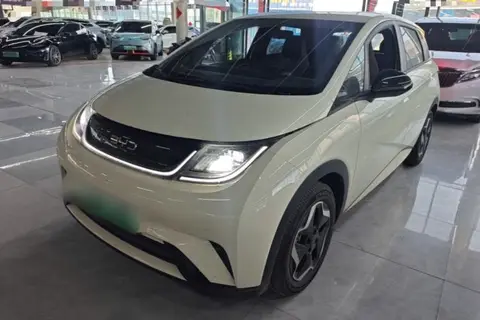 BYD Dolphin 2024