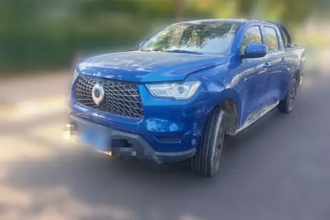 Great Wall Poer 2021