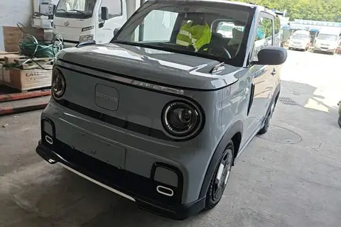 Geely Panda 2024