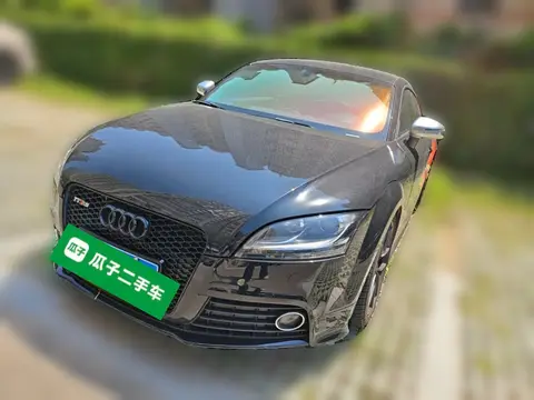 Audi TTS 2010