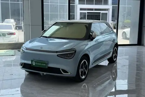 Dongfeng Nammi 01 2024