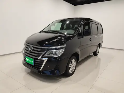 Forthing Lingzhi 2025
