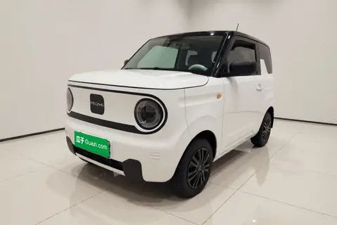 Geely Panda 2024