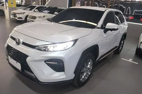 Toyota Wildlander 2024