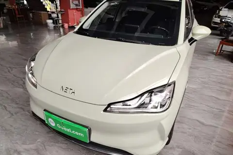 NETA V 2022
