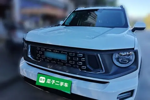 Haval H Dog 2023